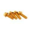 Wolf Tooth Components Aluminum Bottle Cage Bolts (Gold) (4-Pack) -Wolf Tooth 4wbboltgld