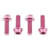 Wolf Tooth Components Aluminum Bottle Cage Bolts (Pink) (4-Pack) -Wolf Tooth 4wbboltpnk