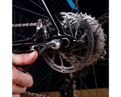 Wolf Tooth Components Axle Trainer Caps (Pair) -Wolf Tooth axle12 btn trnr 3