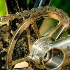 Wolf-tooth Wolf Tooth Elliptical Direct Mount Boost Chainring For Cane Creek EeWings-/SRAM-3-Bolt Cranksets - For Shimano 12-speed Hyperglide+ - Nickel -Wolf Tooth wolf tooth elliptical boost dm chainring cane creek sram shimano 12 speed chain 32t nickel mounted 1177717